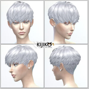 Sims4 hair/　fron,side,back  シムズ４ 髪型　詳細　非透過タイプです。