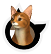 cat icon
