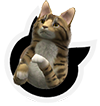 cat_icon001