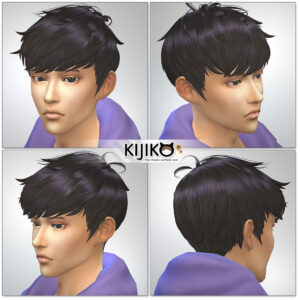 Sims4 hair/　for Male / Masculine Frame　シムズ髪型　詳細 Ichimatsu Edition