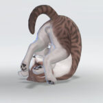 別館ブログ、オープンしました。